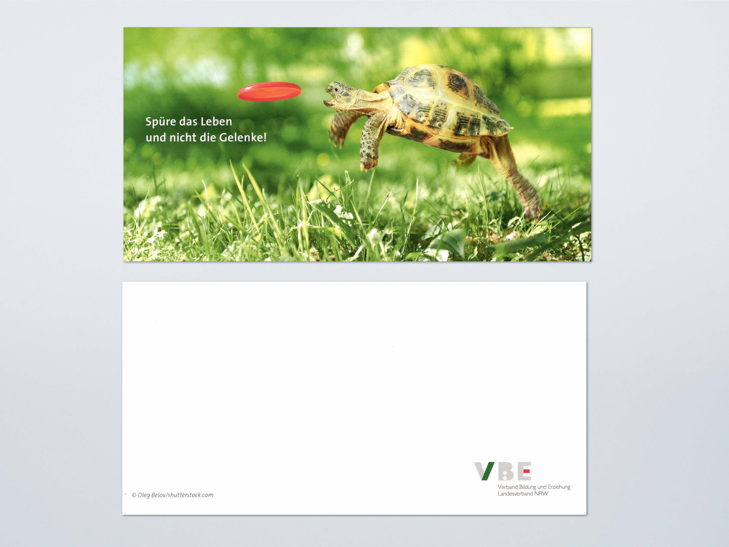 Geburtstagskarte Schildkröte (20 Stück)