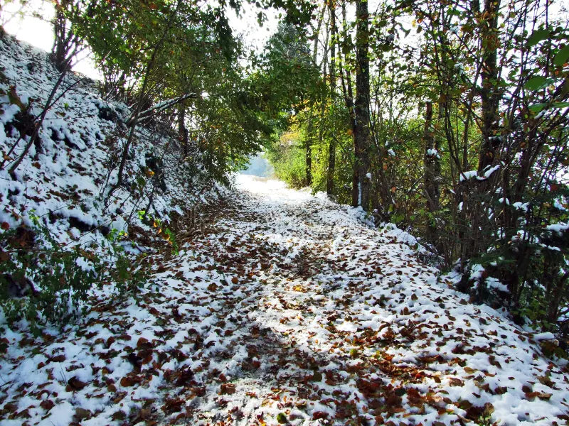 Warm durch den Winter!!