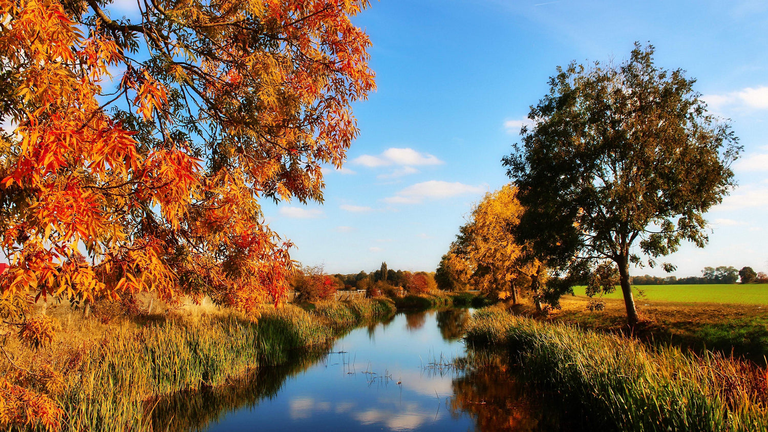 Der Herbst naht!