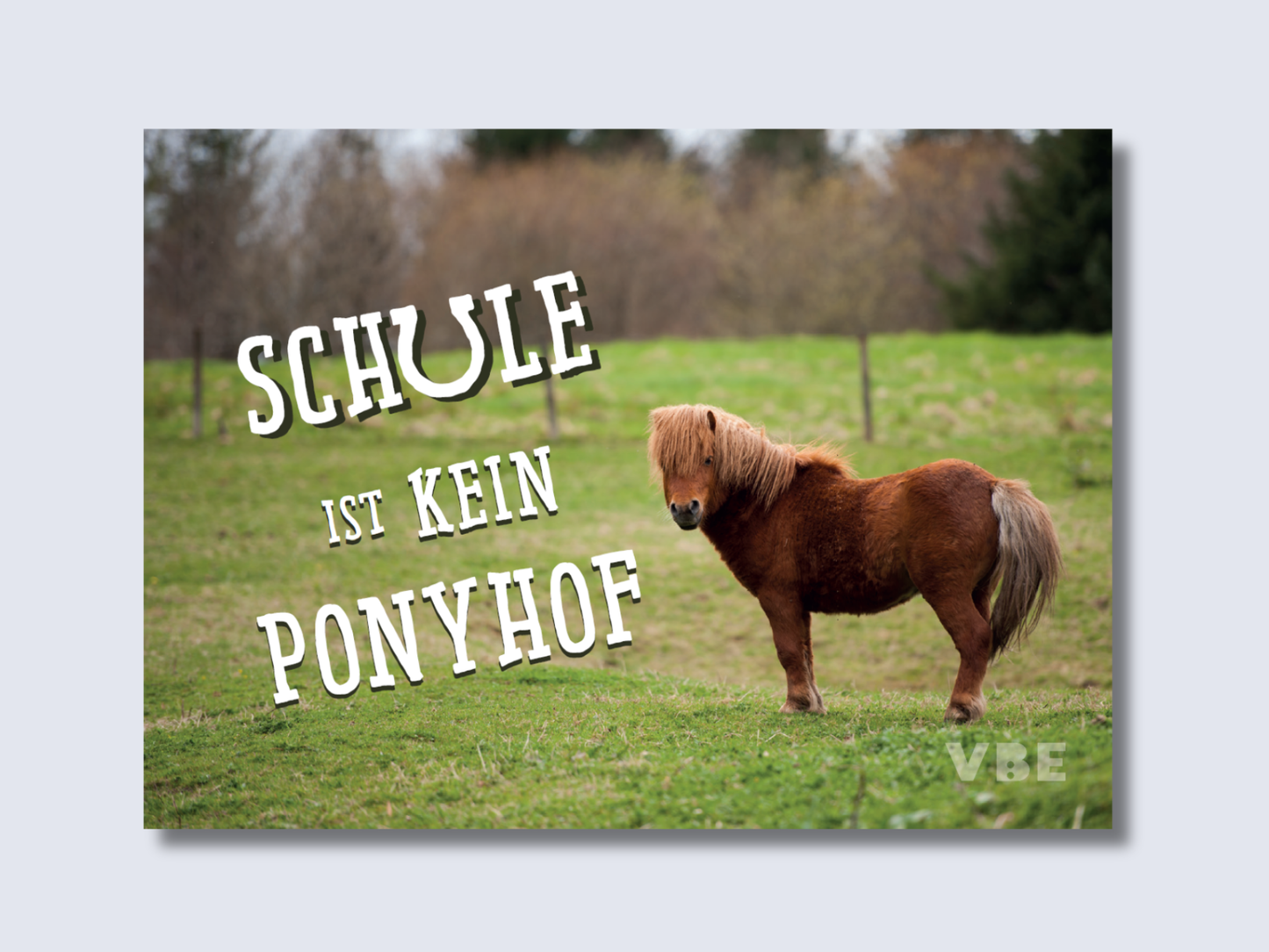 Postkarte Ponyhof (100 Stück)